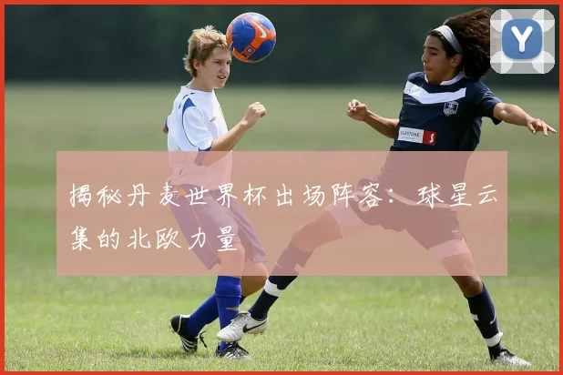 揭秘丹麦世界杯出场阵容:球星云集的北欧力量