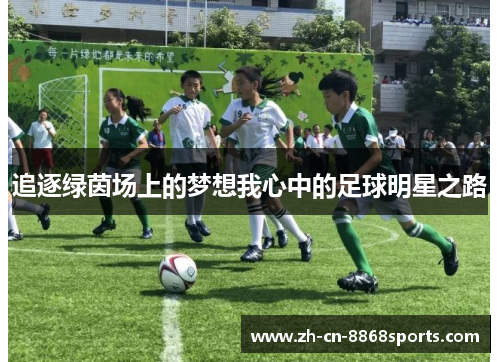 追逐绿茵场上的梦想我心中的足球明星之路